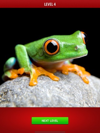 Zoom! - Magnified Pics screenshot