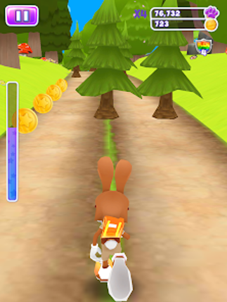 Bunny Rabbit Runner screenshot