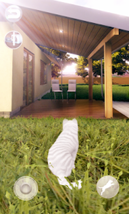 Talking Cute Cat Image