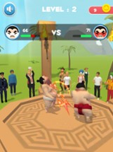 Sumo Fight Image