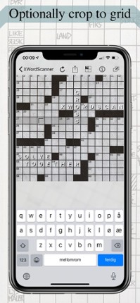 Team Crossword Scanner screenshot
