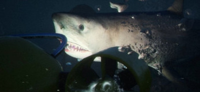 TITANIC: DEPTHS OF TERROR Image