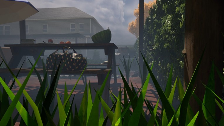 Mr Dookie Adventures screenshot