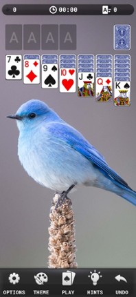 Solitaire Classic - Classic screenshot