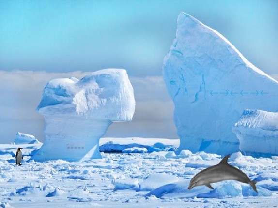 Antarctic Dolphin Escape screenshot