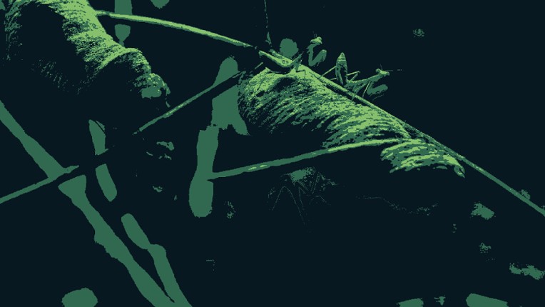 Brood Year screenshot