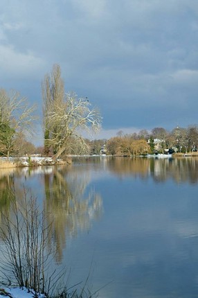 For I've been wandering in circles screenshot