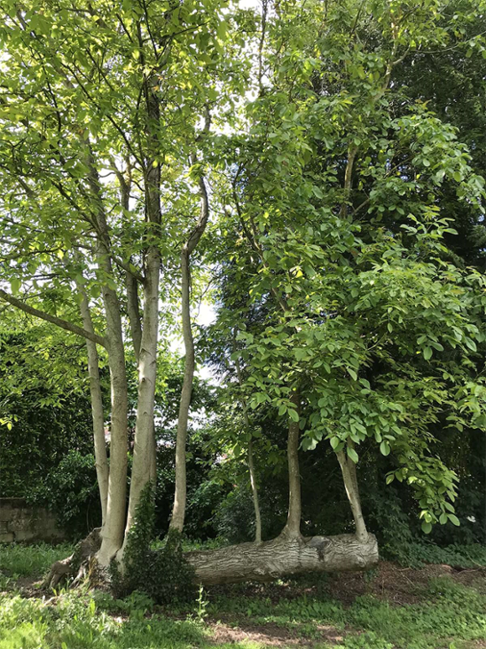 Games like Juniper Jupiters