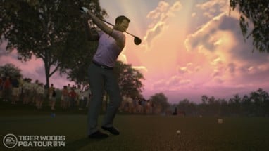 Tiger Woods PGA Tour 14 Image