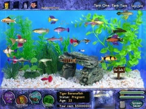 Fish Tycoon Image