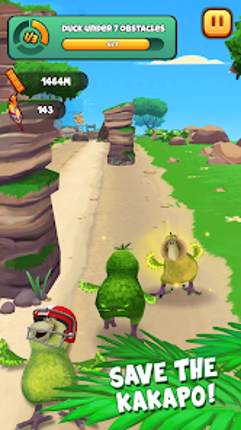 Kakapo Run screenshot