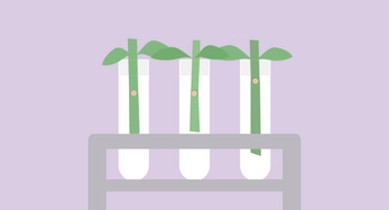 Props Image