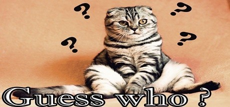 Games like Guess who ?