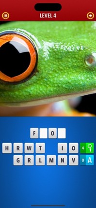 Zoom! - Magnified Pics Image