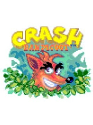 Crash Bandicoot Image