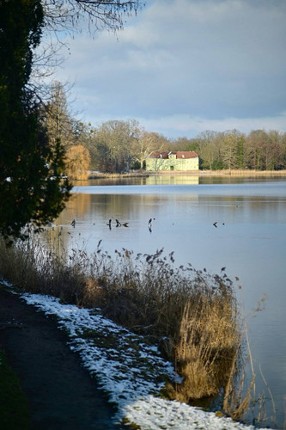 For I've been wandering in circles Image