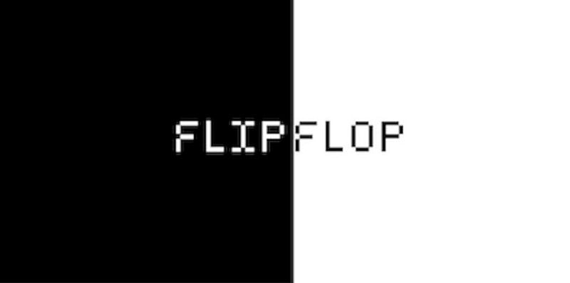 Flip Flop Image