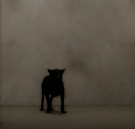 Games like Have You Seen This Dog?