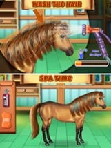 Horse Hair Salon Image