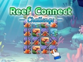 Reef Connect Challenge Image