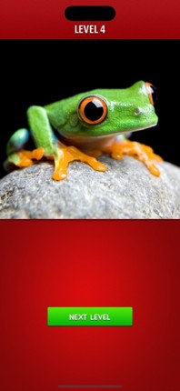 Zoom! - Magnified Pics screenshot