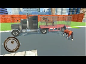 Animal Transport Horse Games Image