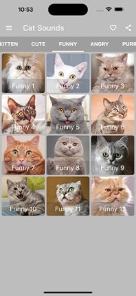 Cat Sounds - Meow Soundboard Image