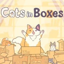 Cats in Boxes Image