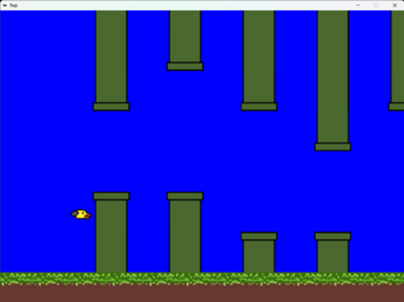 flap screenshot