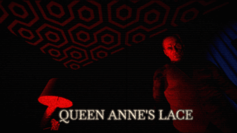 Queen Anne's Lace Image