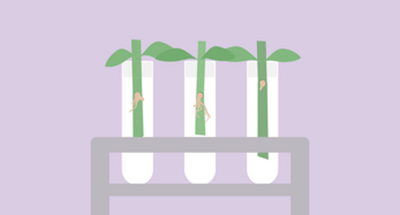 Props Image