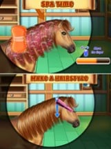 Horse Hair Salon Image