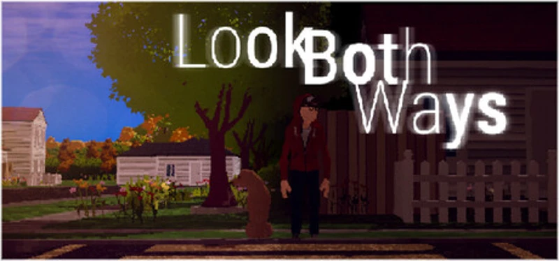 Look Both Ways Image