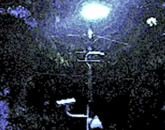 Street Lamp Lover Image