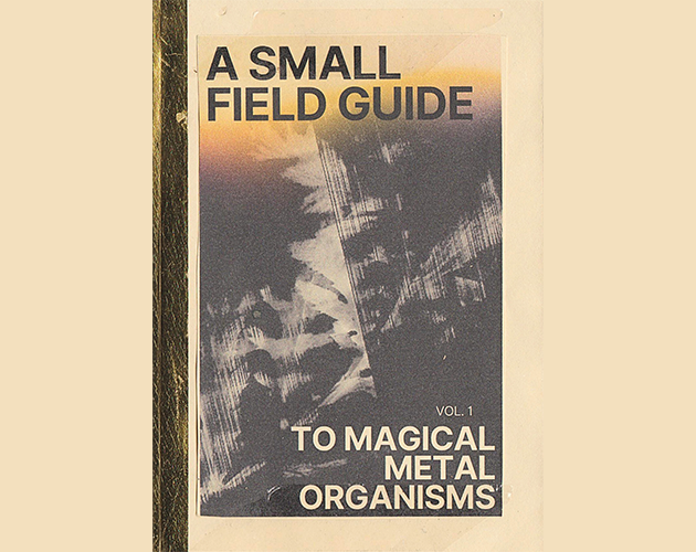 Games like A Small Field Guide to Magical Metal Organisms