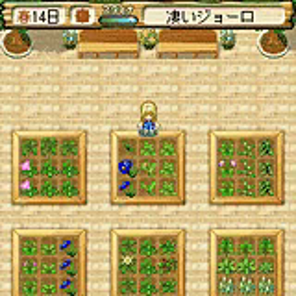 Bokujou Monogatari Mobile: Live & Love screenshot