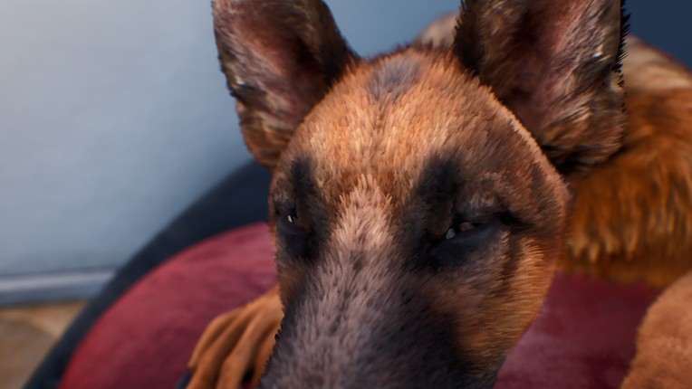 Doggy Up! screenshot