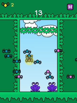 Froggy Picnic Image