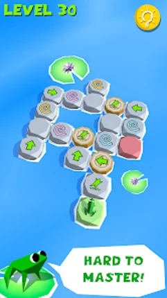 Frog Puzzle Image