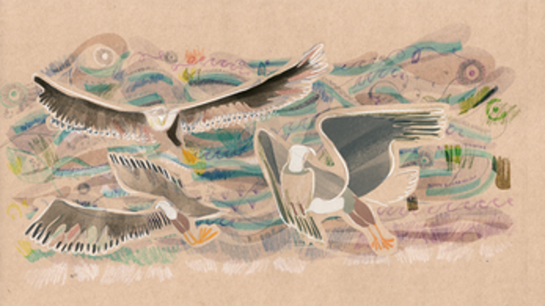 Three Bird Poems screenshot