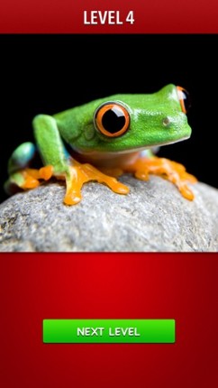 Zoom! - Magnified Pics Image