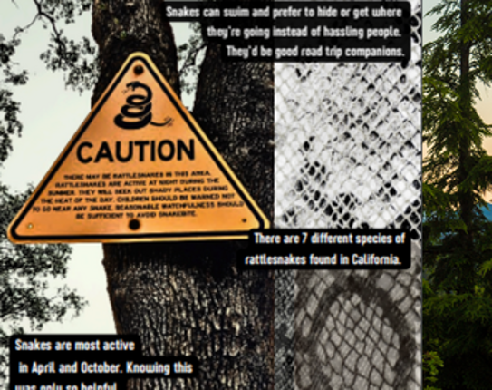 Around the Mountain: A Road Trip Zine (Digital Edition) Image