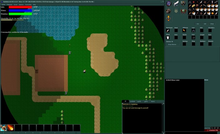 Hadelmia MMORPG Image