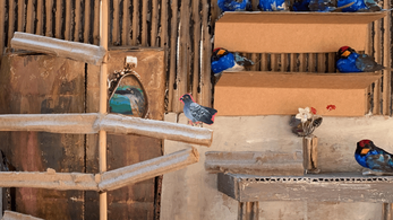 Obrigada, Cher Ami screenshot