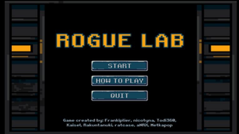 Rogue Lab Image