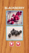 Education Game Learning English Vocabulary With Picture - Fruit Image