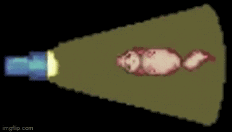 DuckDuck, GO! Image