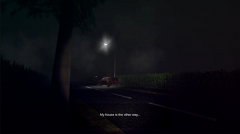 The Cornfield Road Image