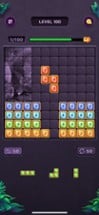 Block Puzzle - Fun Brain Games Image