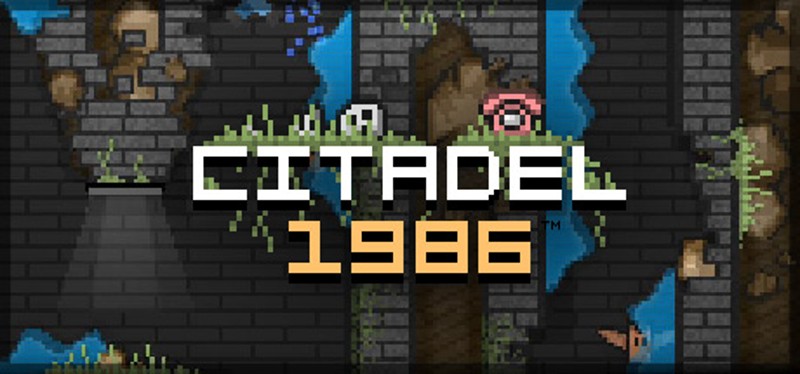 Citadel 1986 Image